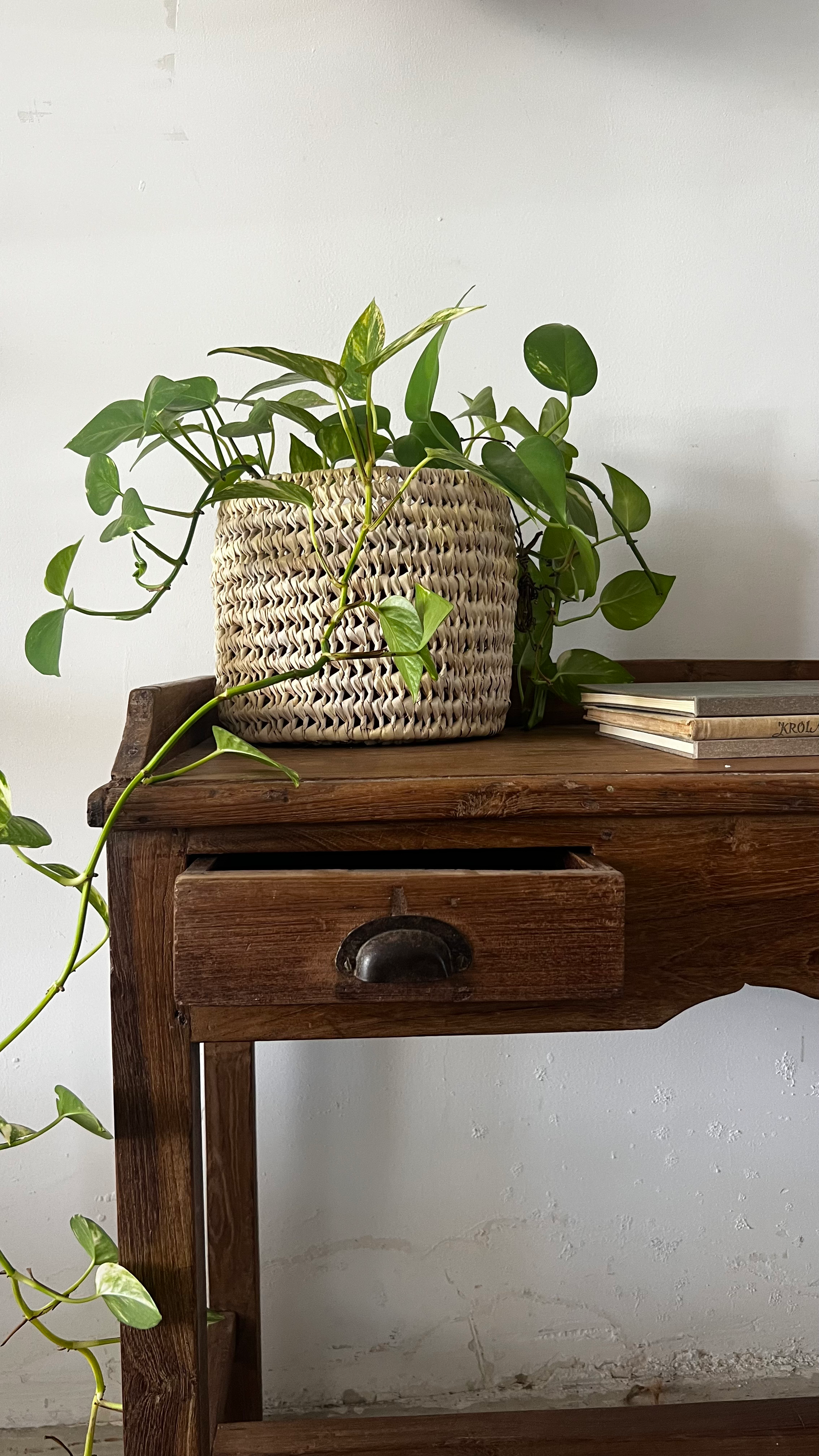 מכתבה פיס ענתיק 93/42