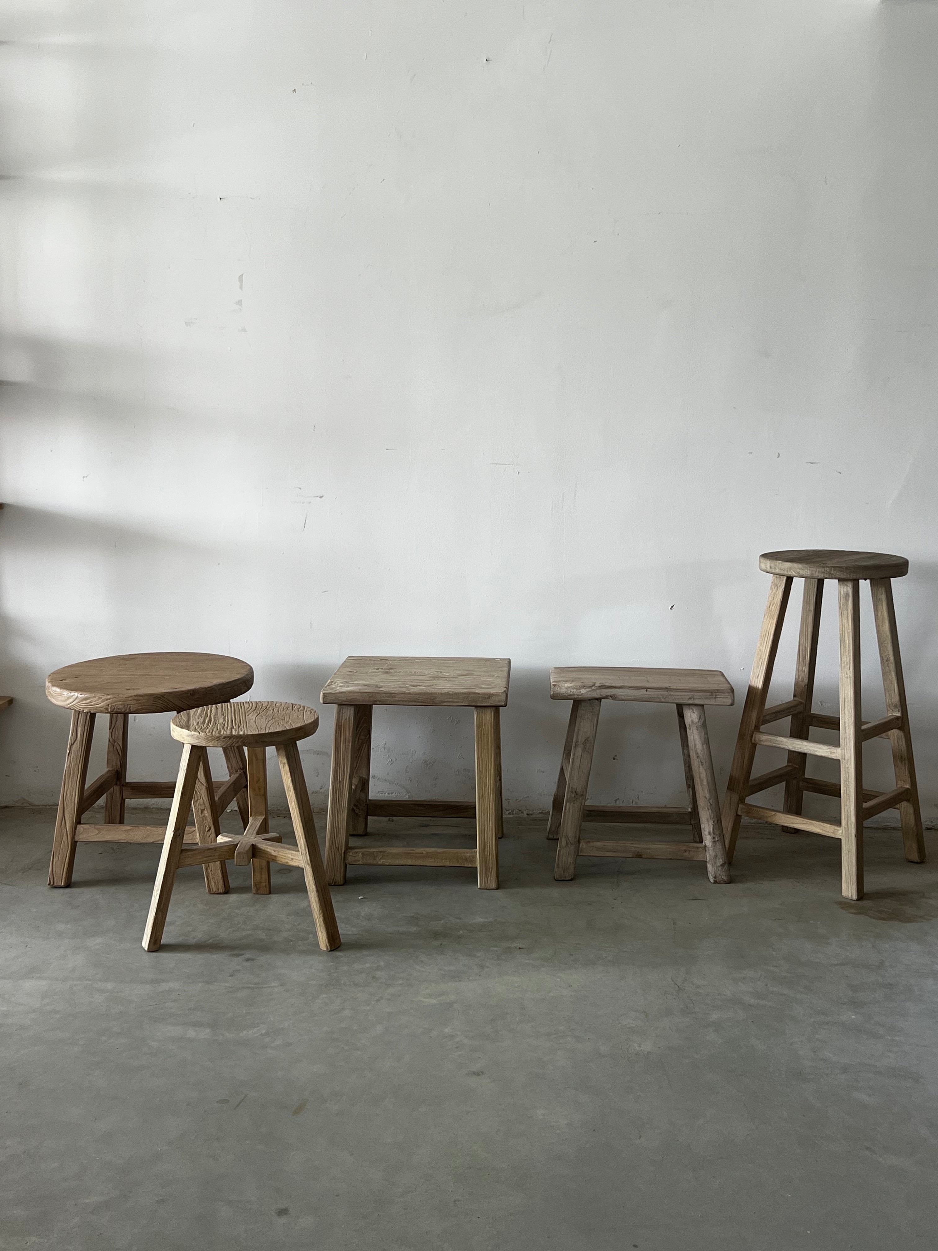 מגוון שרפרפים במגוון צורות וגדלים