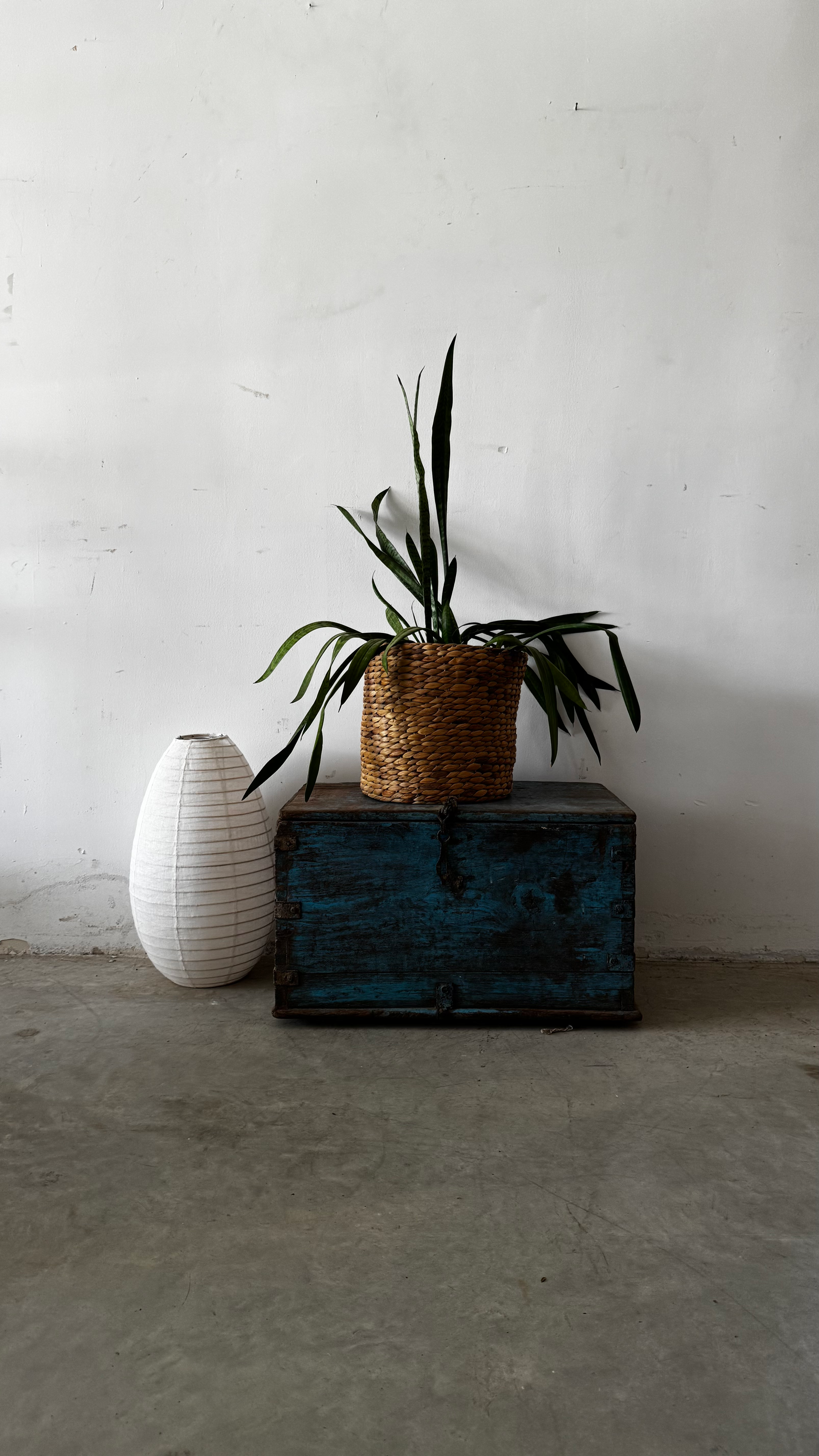 ארגז ענתיק טורקיז  תכלת