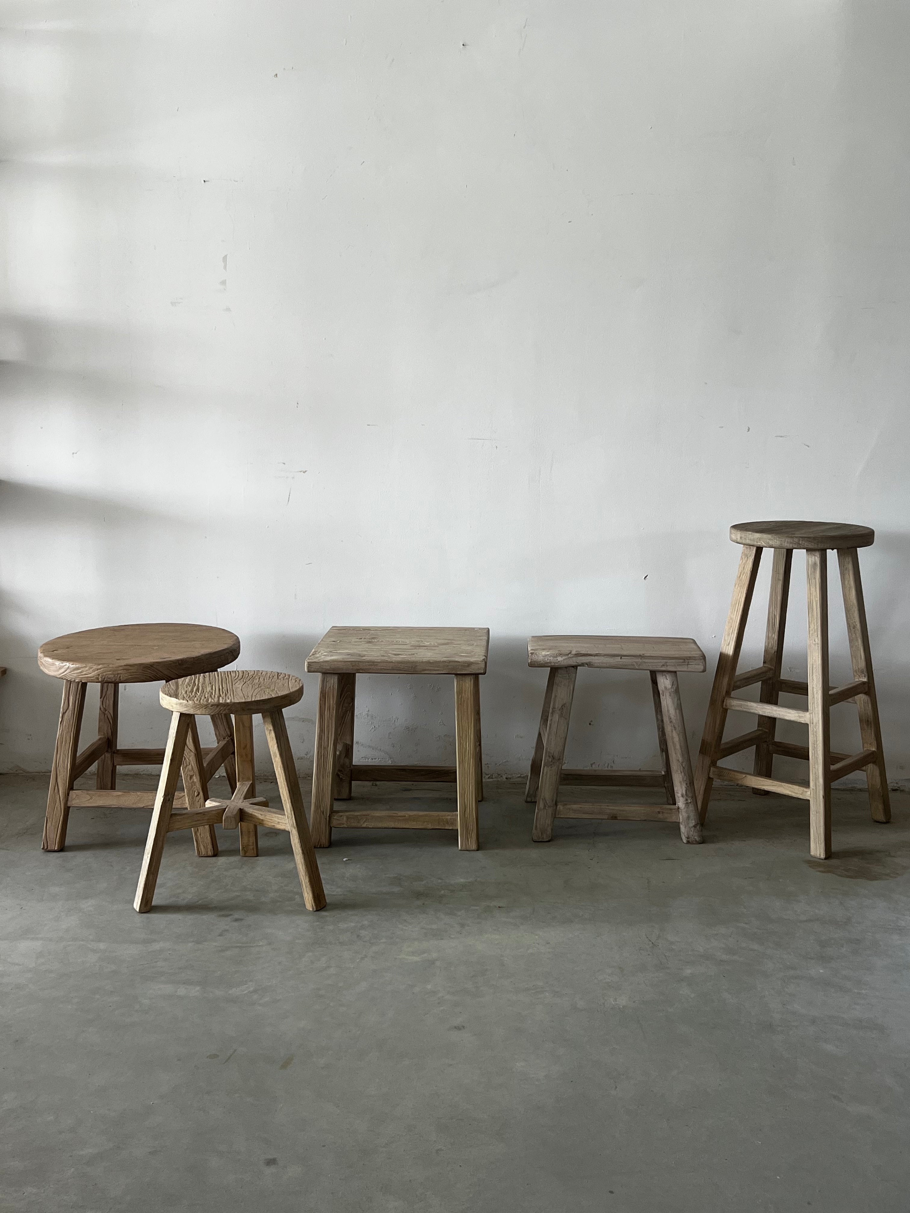 מגוון שרפרפים במגוון צורות וגדלים