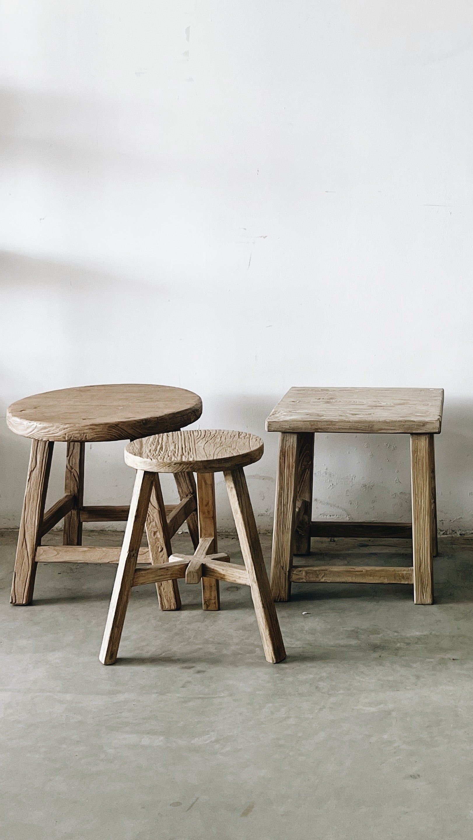 מגוון שרפרפים במגוון צורות וגדלים