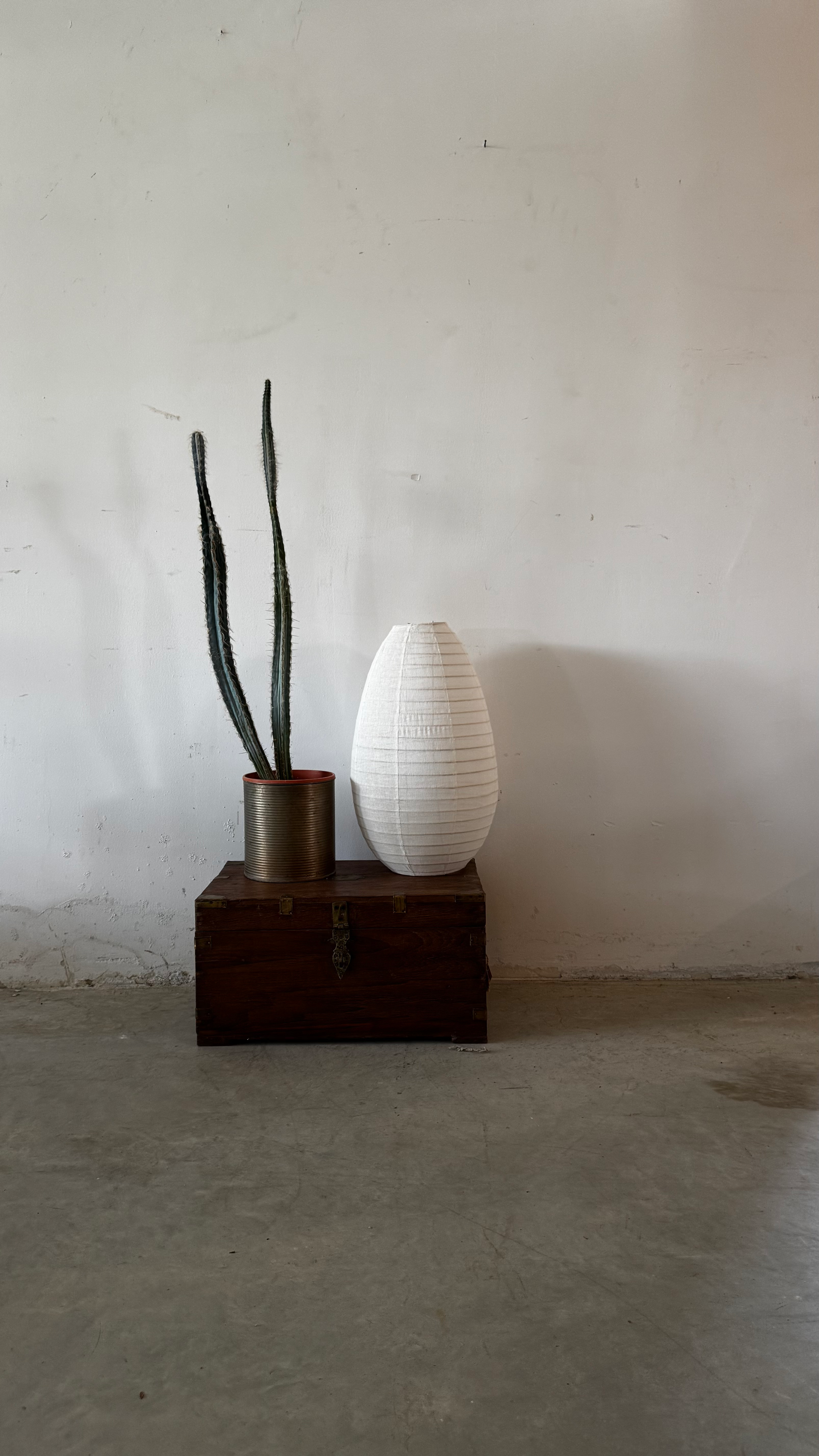 ארגז ענתיק חום