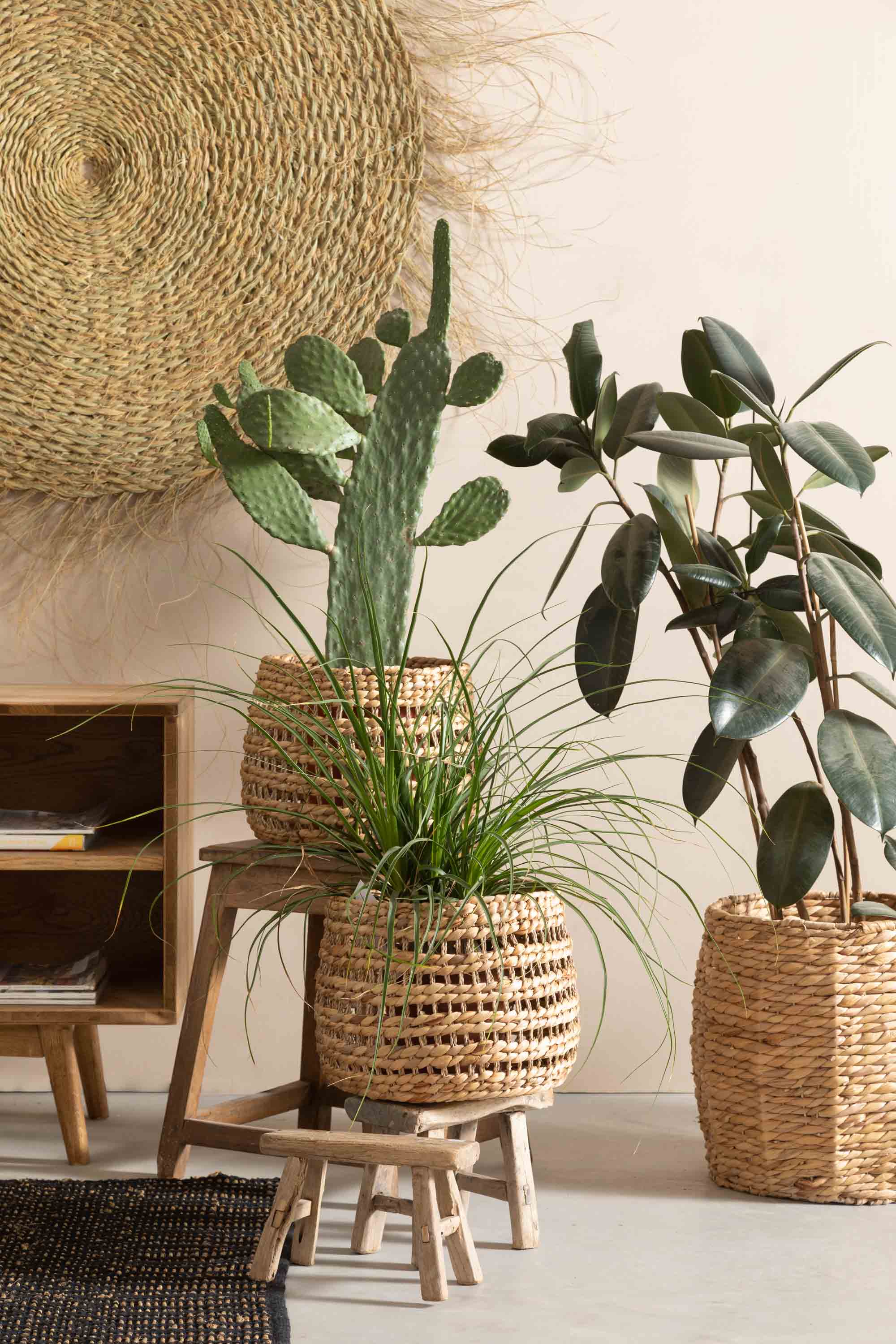 מזנון נורדי מעץ אלון